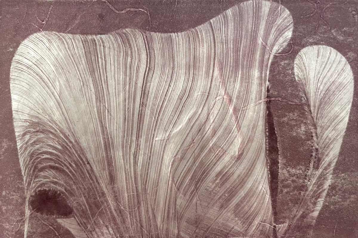 Cross Sea by MK Wynn 