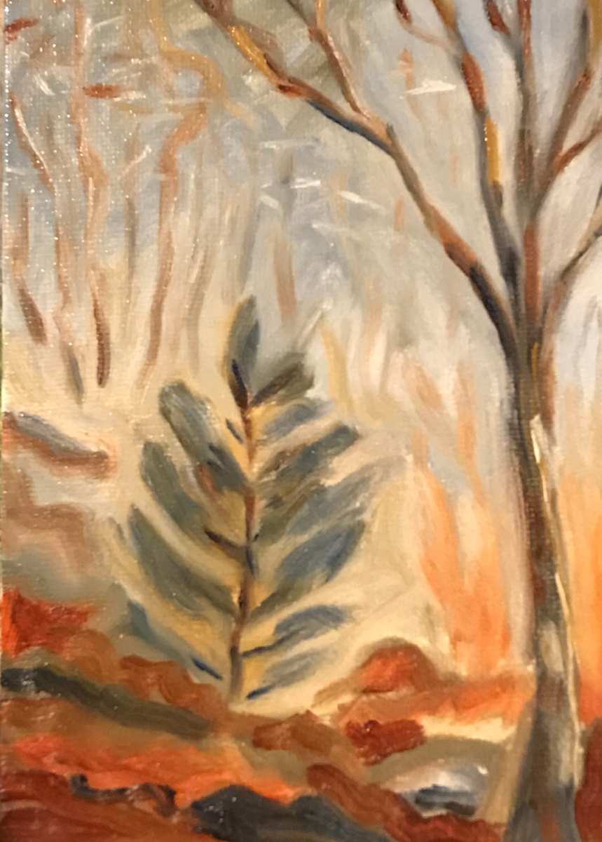 (Tree Portrait #12) Little Cedar by MK Wynn 