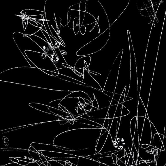 Focused by Christopher Thompkins 