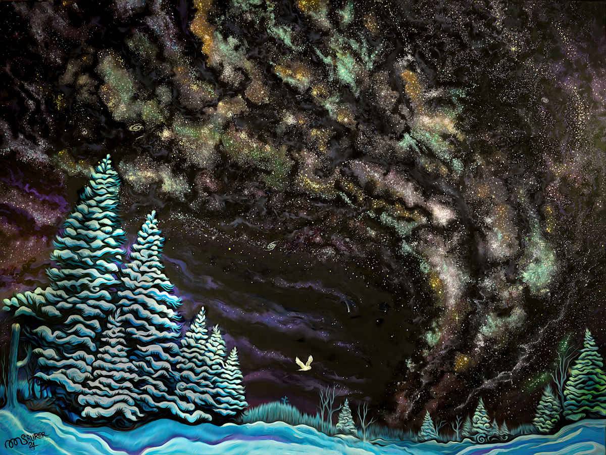 A Sky Full of Stars by Marissa Kayne Saurer  Image: A wintery nightscape inspired by living in Superior National Forest.