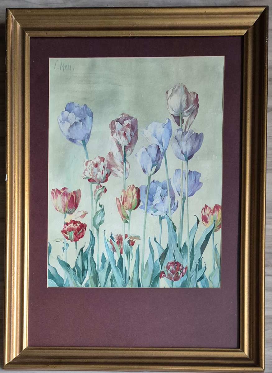 Bunte Tulpen by l. Mell. 