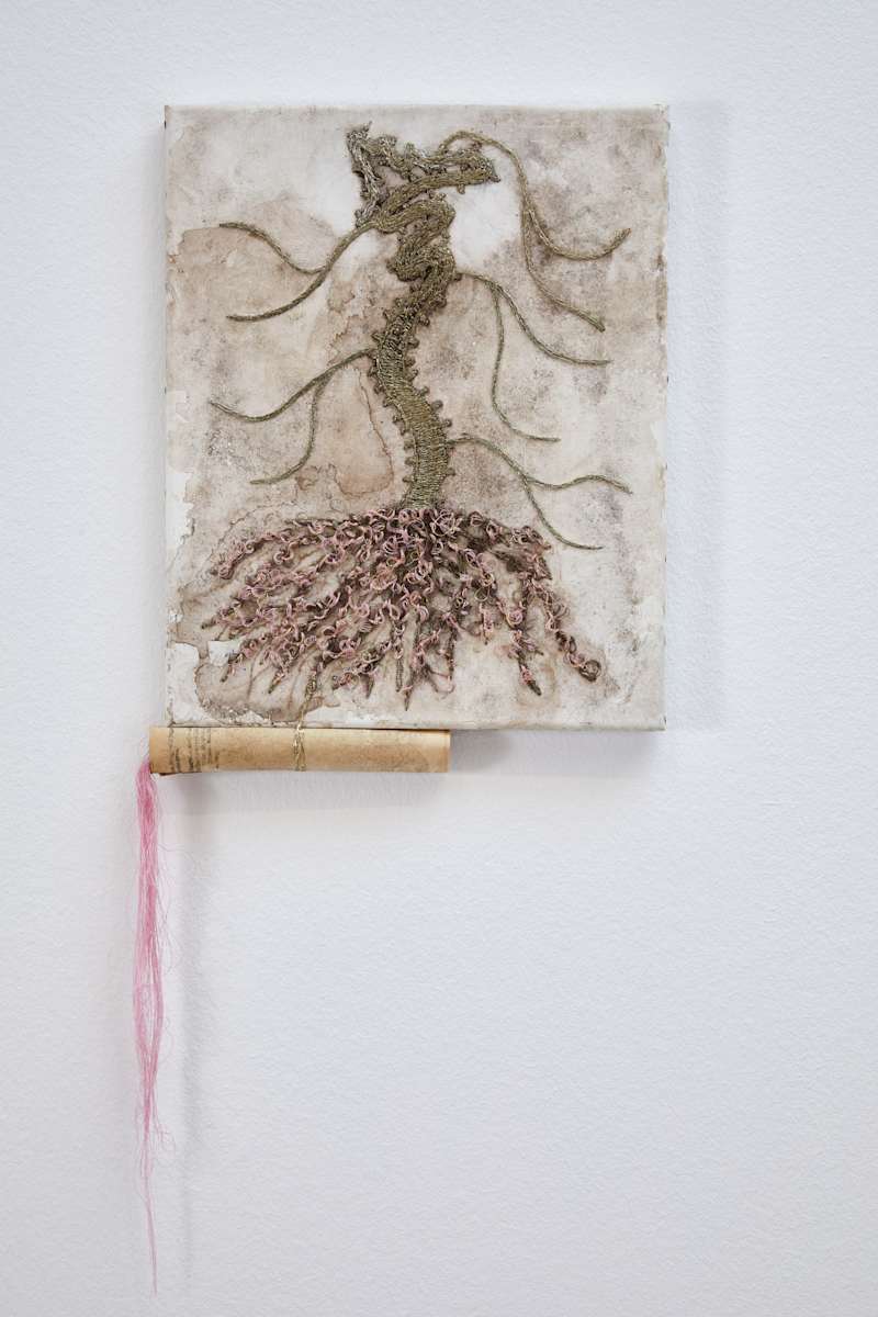 Secretos de Los Andes (Secrets of the Andes) / rose, 2023 by Camila Rodríguez Triana 