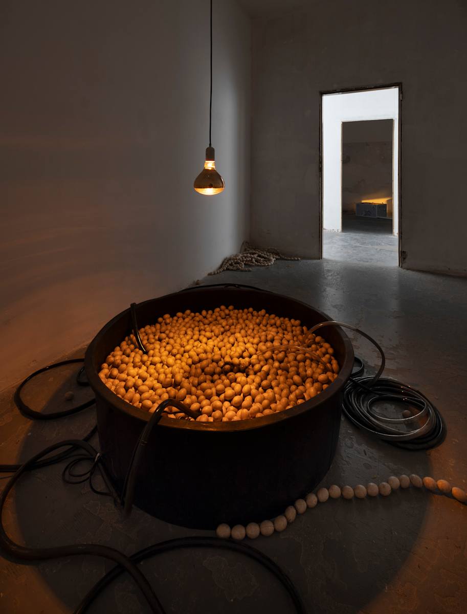 The Secret Code... by Trương Công Tùng, Image 1.