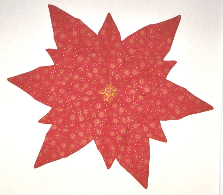 CA Poinsettia Red by Katrina Sjöberg  Image: CA Poinsettia Red
