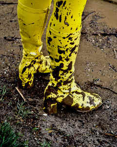 Yellow boots by Patricia Buck, Image 1.