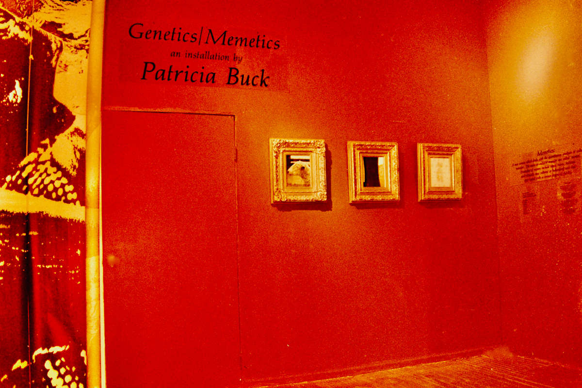 Genetics/Memetics,  1998 by Patricia Buck, Image 3.