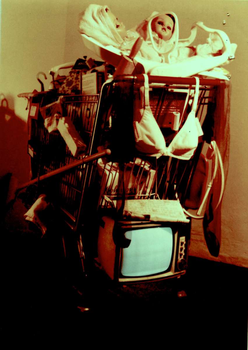 Hers, 1981, a collaborative installation with Menucha by Patricia Buck, Image 1.