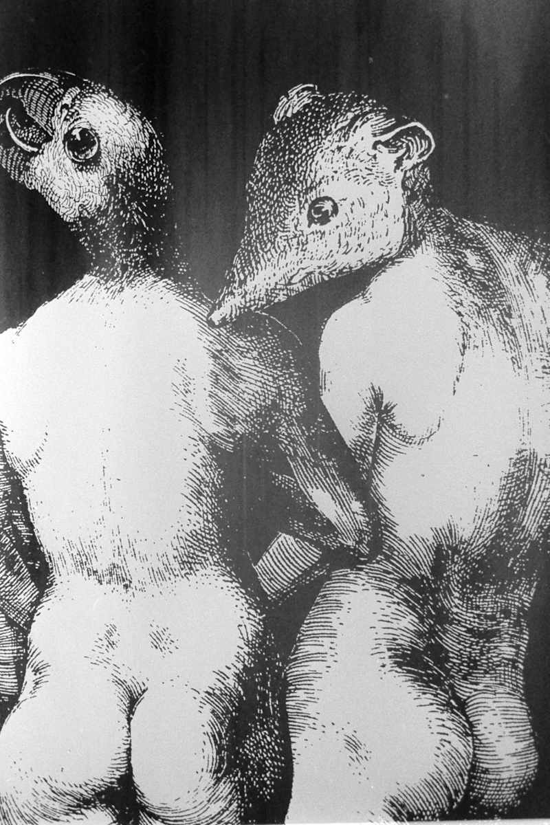 Room installation - Genetics/Memetics, detail. by Patricia Buck, Image 1.