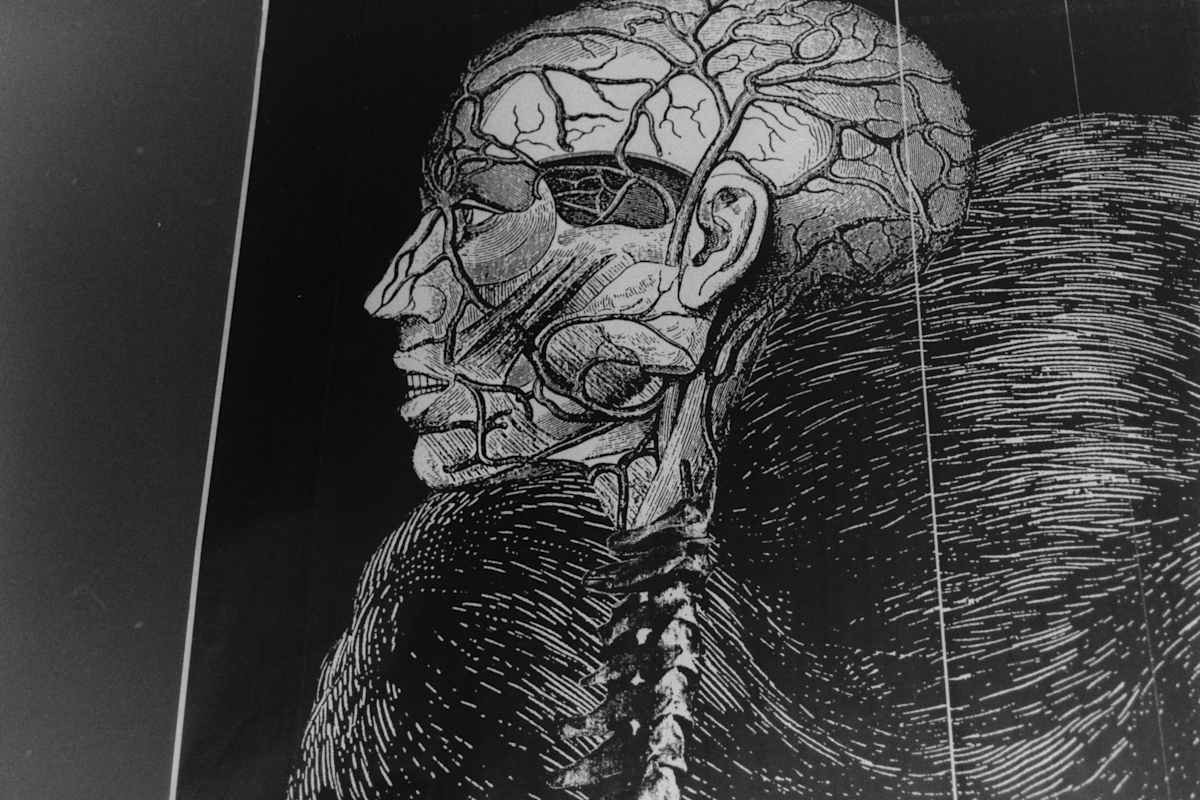 Detail view: Genetics/Memetics by Patricia Buck, Image 1.