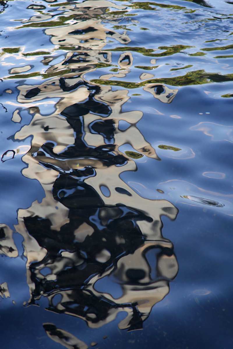 Waterborne, a photographic series, printed on aluminum panel by Patricia Buck, Image 5.