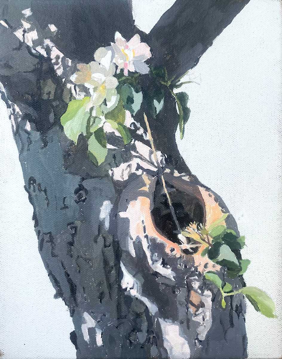 Apple Tree Orifice 4 by Betsy Jacks 
