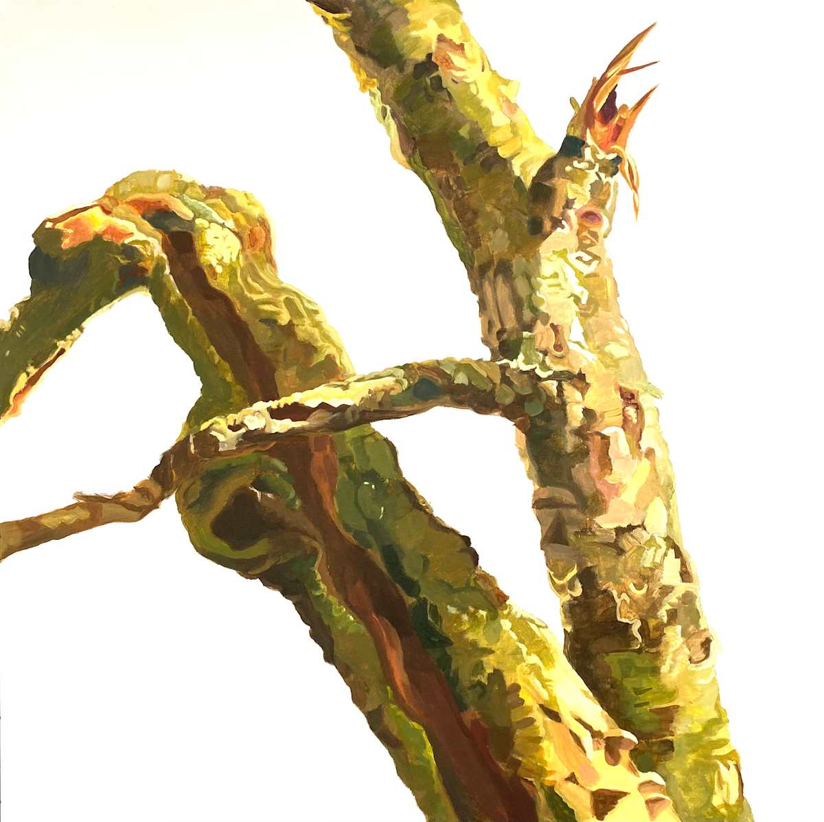 Departing Trees, After Thomas Cole's Oxbow by Betsy Jacks 