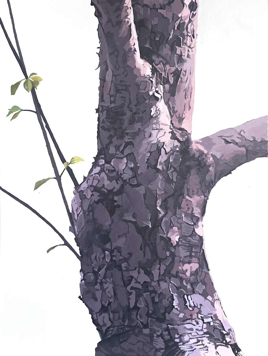Apple Tree 9 (Chest) by Betsy Jacks 