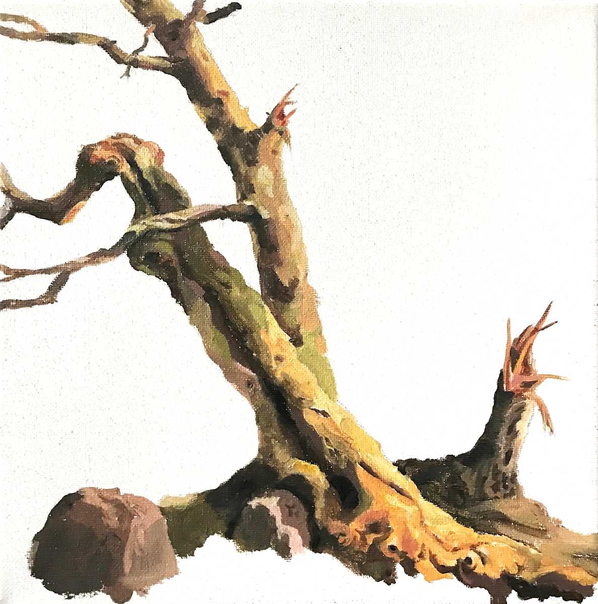 Study for Departing Trees, After Thomas Cole's Oxbow by Betsy Jacks 