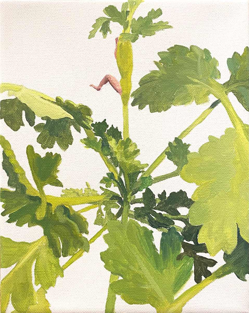 Parsley 1 by Betsy Jacks 