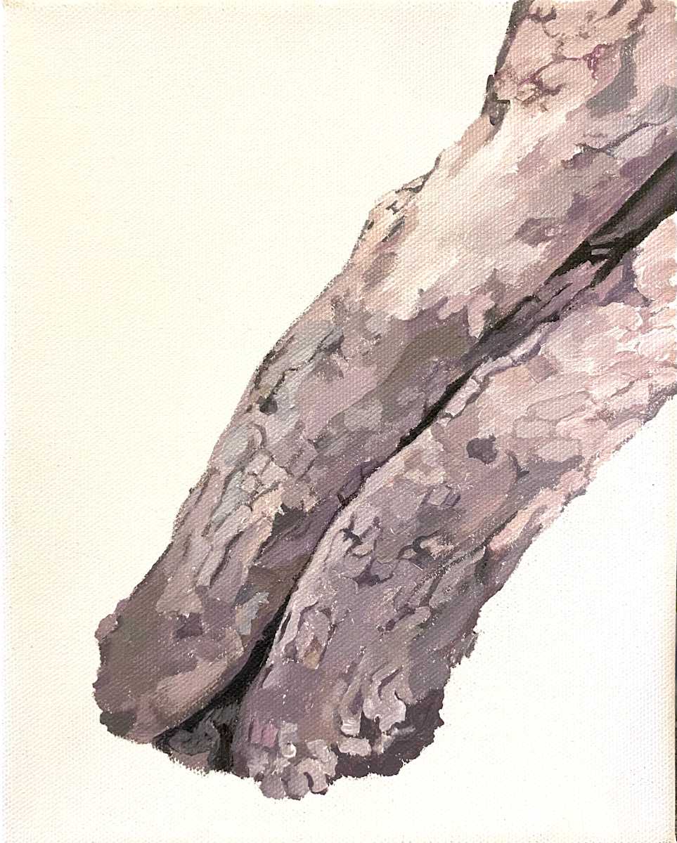 Study for Apple Tree 7 (leaning) by Betsy Jacks 
