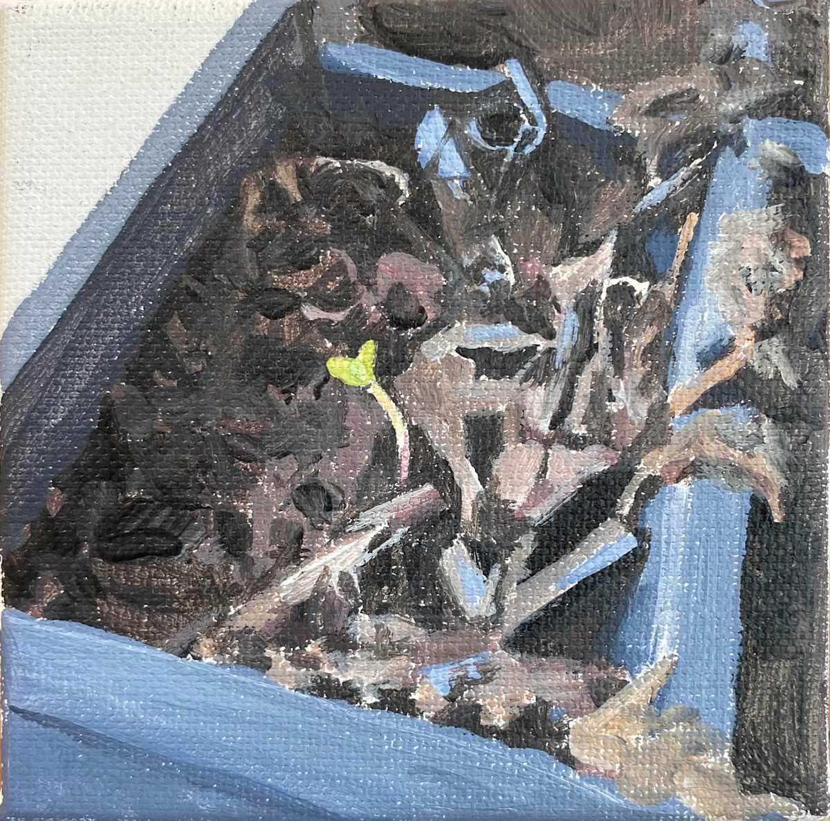 Tiny Sprout 2 by Betsy Jacks 