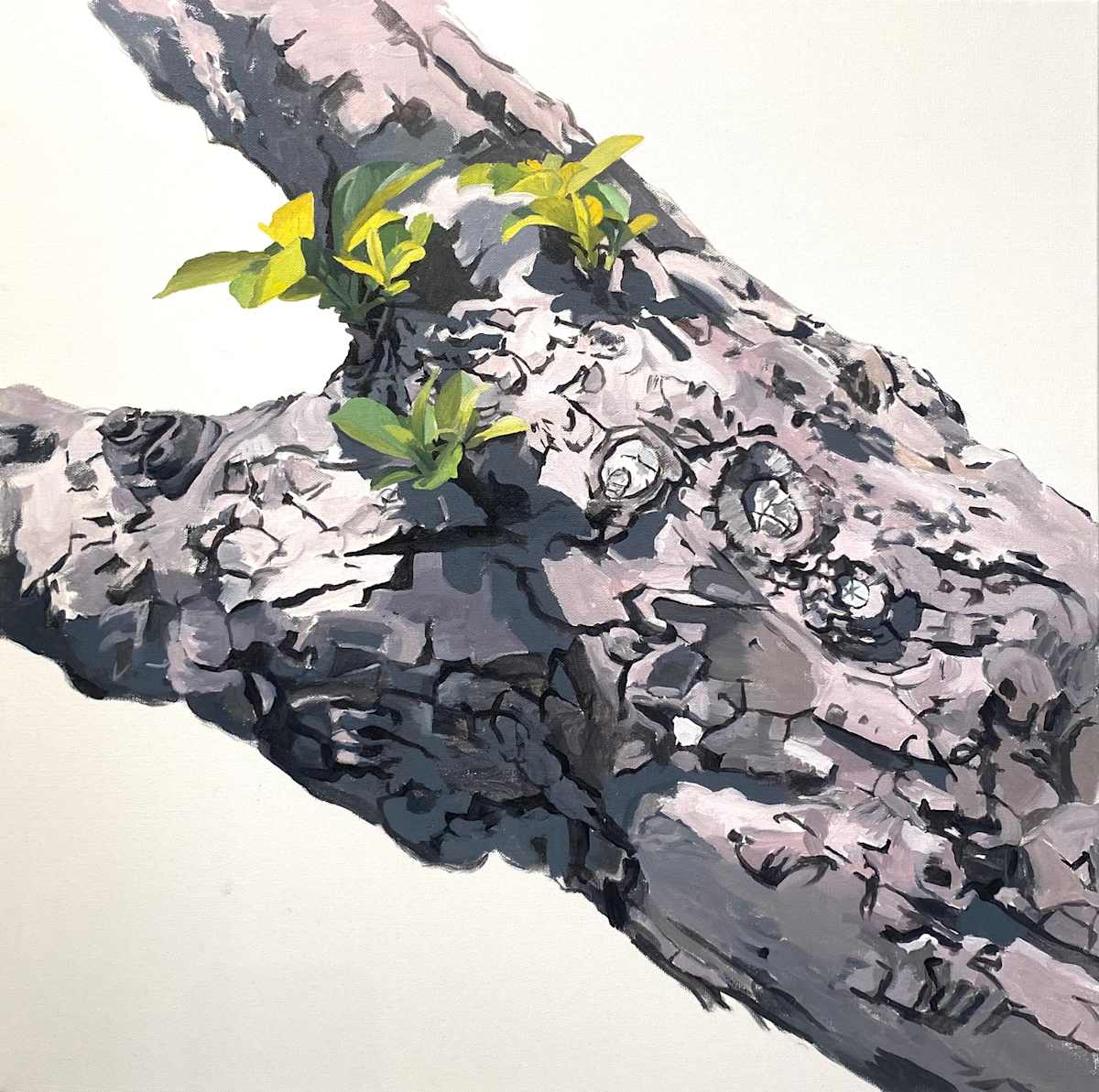 Apple Tree 11 (Long Torso) by Betsy Jacks 