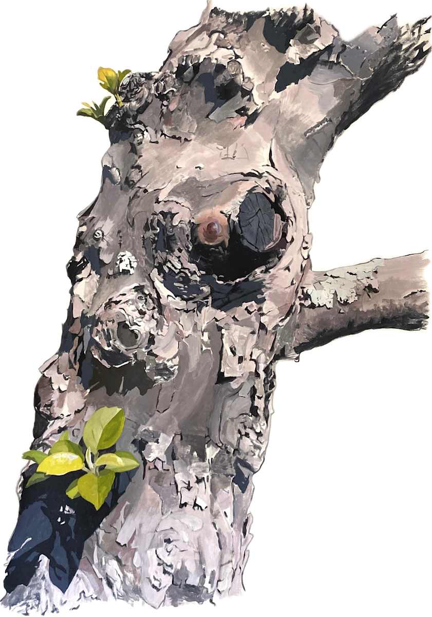 Apple Tree 13 (Leaning) by Betsy Jacks 