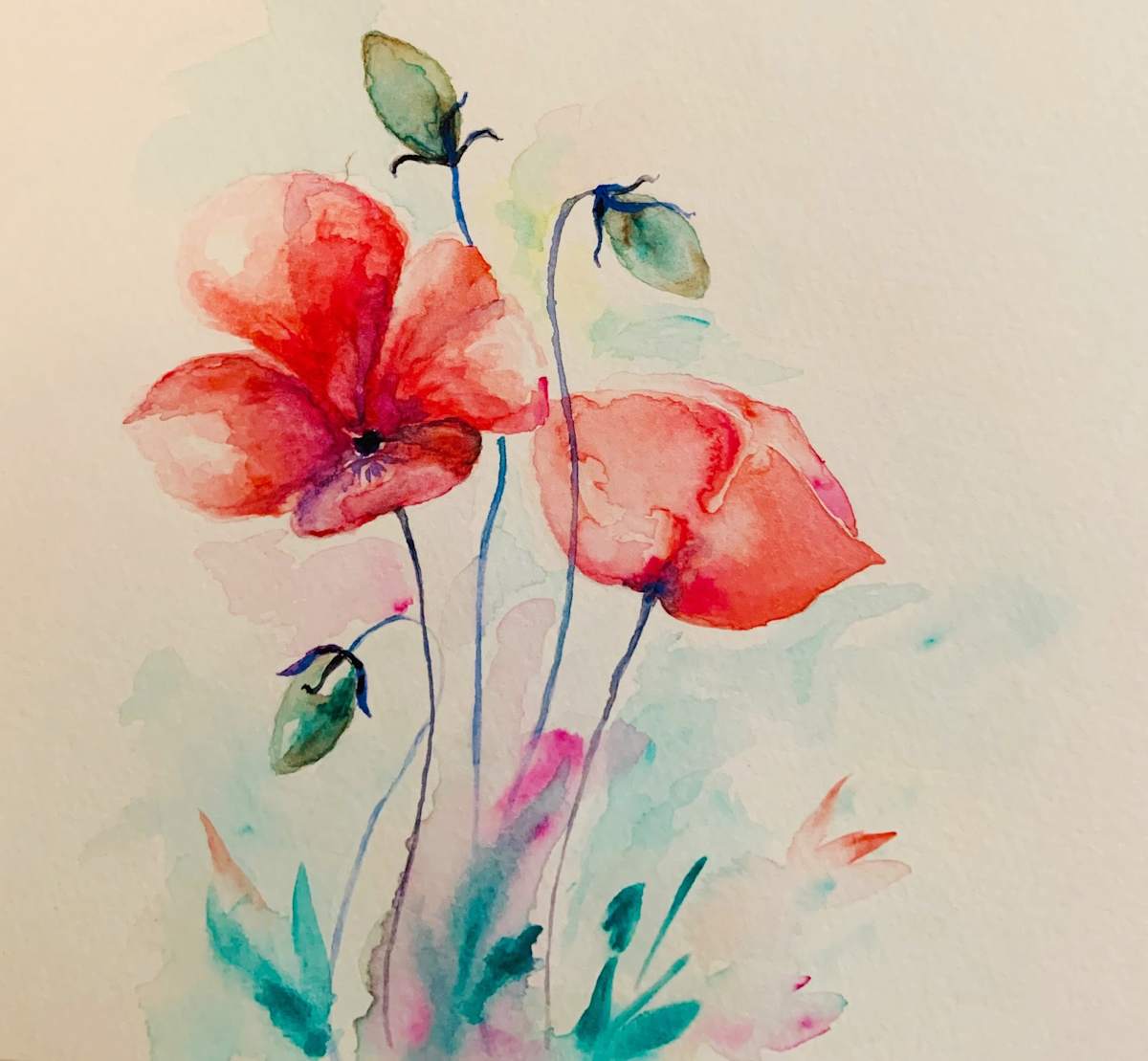 Two Poppies by Diego Alba, Image 1.