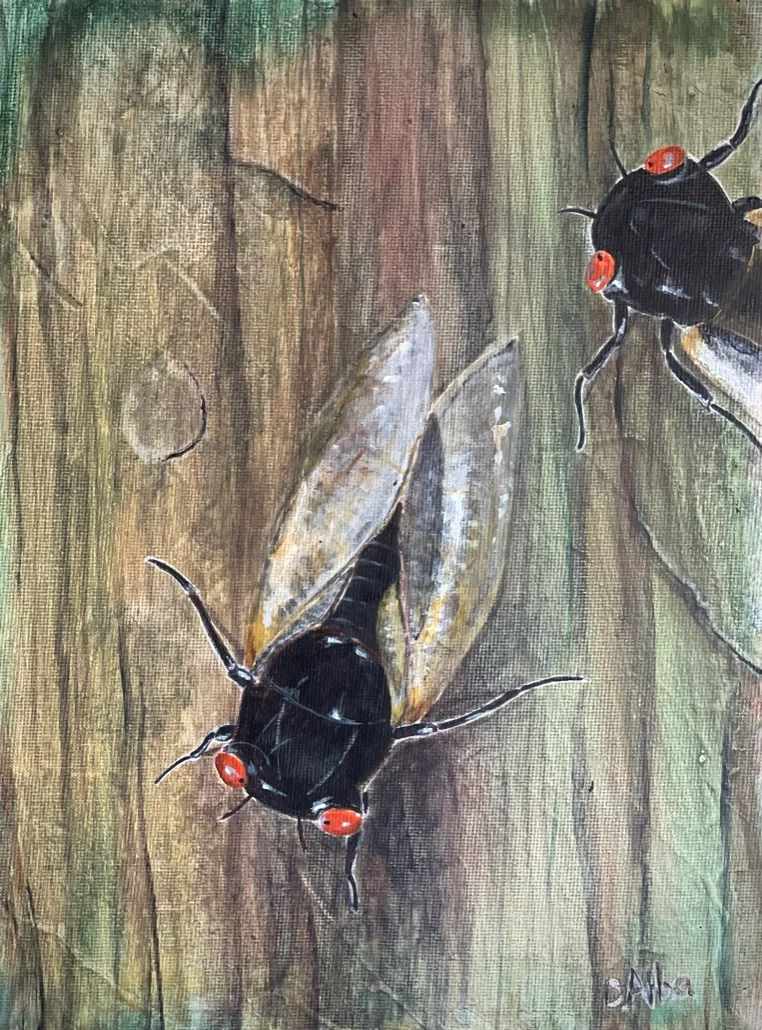 Cicadas On Weathered Wood by Diego Alba  Image: Cicadas On Weathered Wood