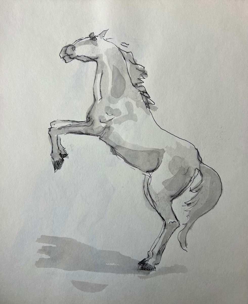 Bucking Horse Profile by Arthur Gebhardt 