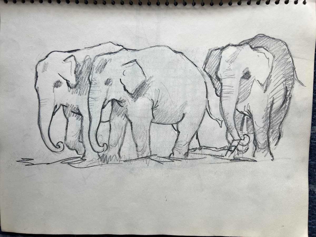 Elephants by Arthur Gebhardt, Image 3.