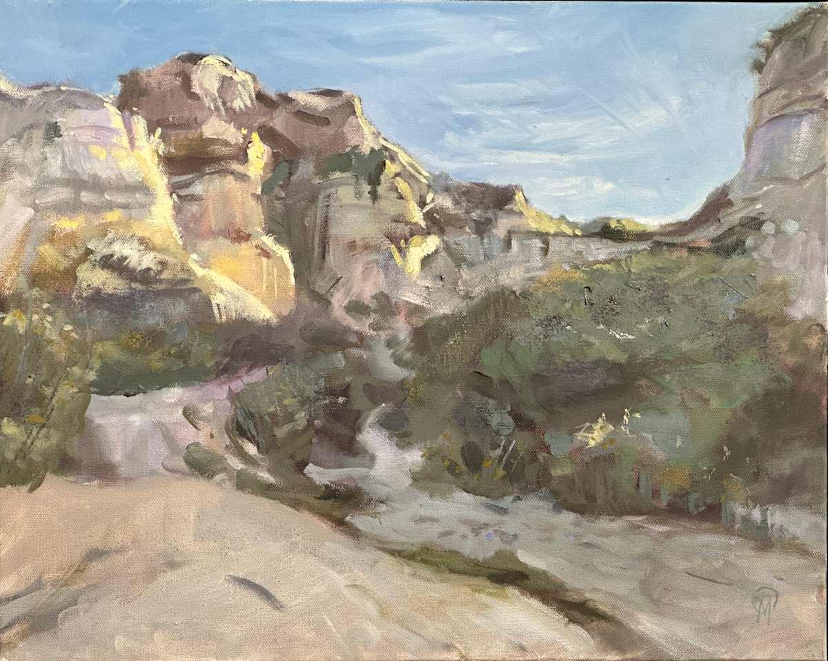 Hidden Canyon by Nick Martello  Image: Some part of me wants to explore every canyon I pass. I walk past this canyon on my morning walk and I love the way the light catches the cliffs and reflects into the shadows.