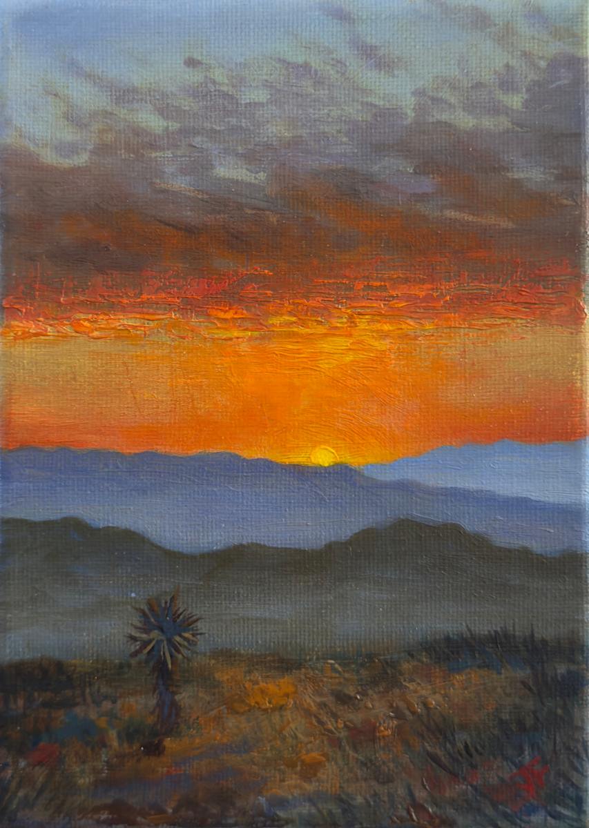 A Yucca Suckling on a Sunset by John Firestone, Image 9.