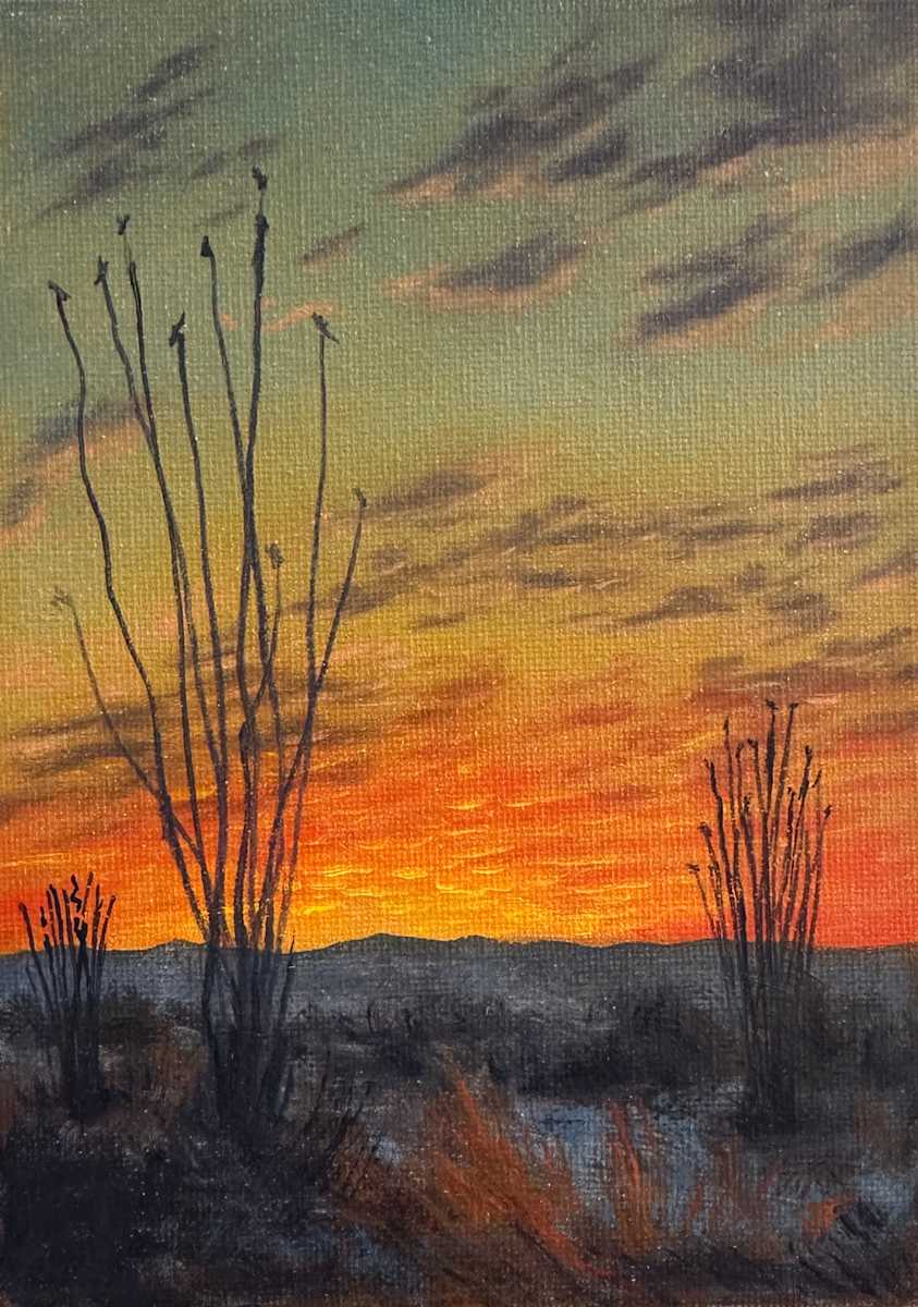 Ocotillo Glow by John Firestone, Image 3.