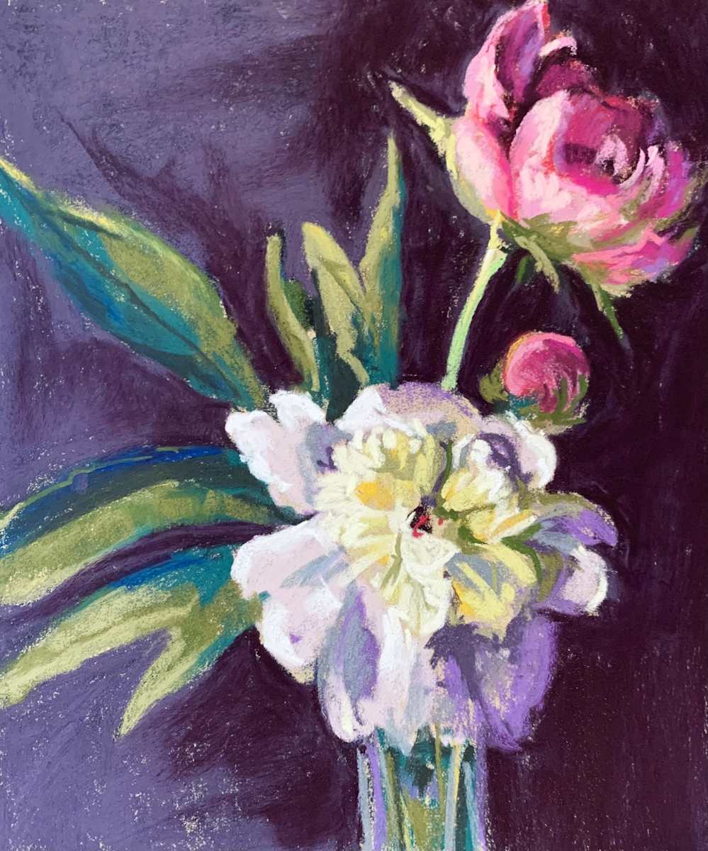 Peony Drama by Mary Moores 
