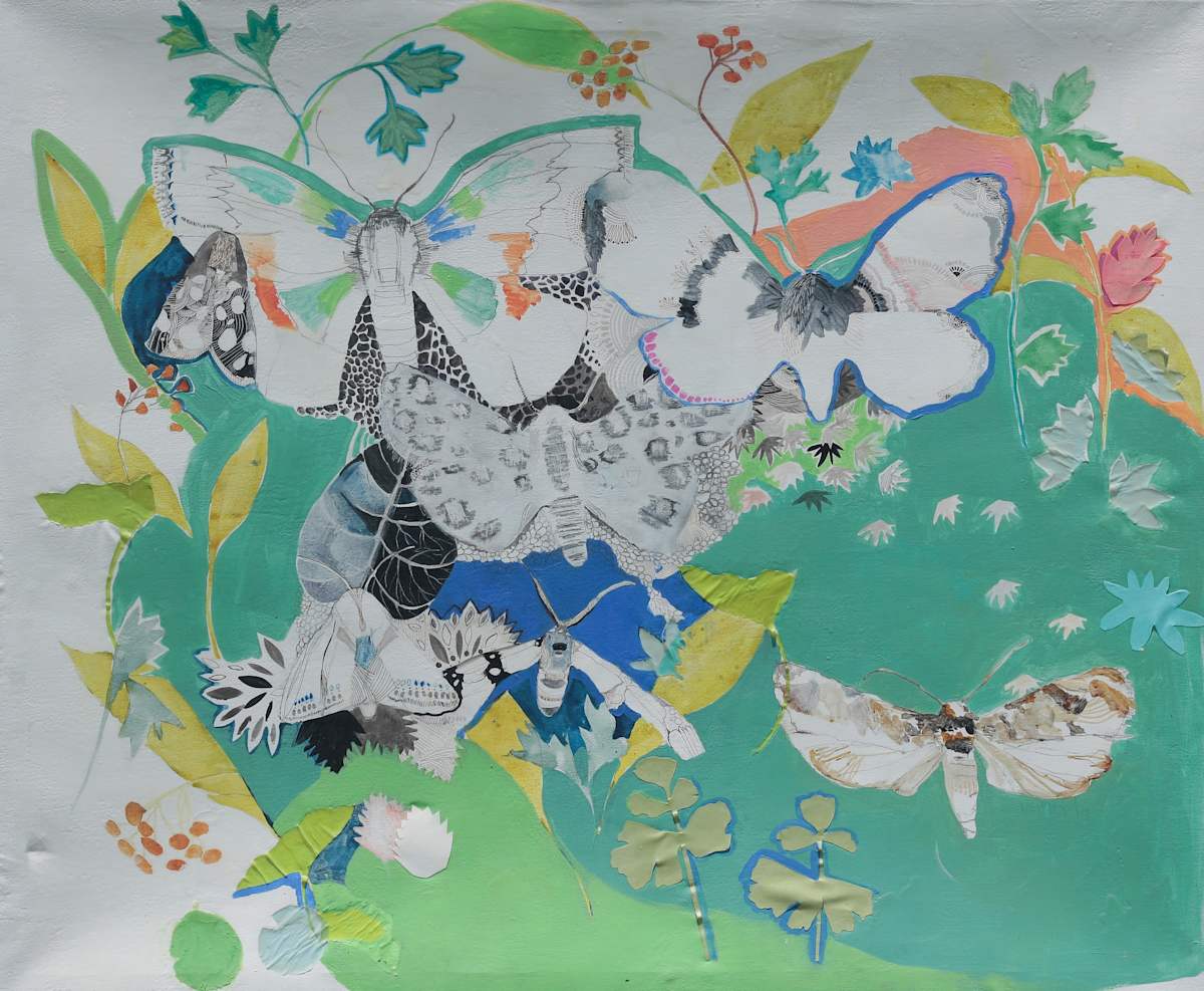 Mariposa II by VigMayol, Image 1.