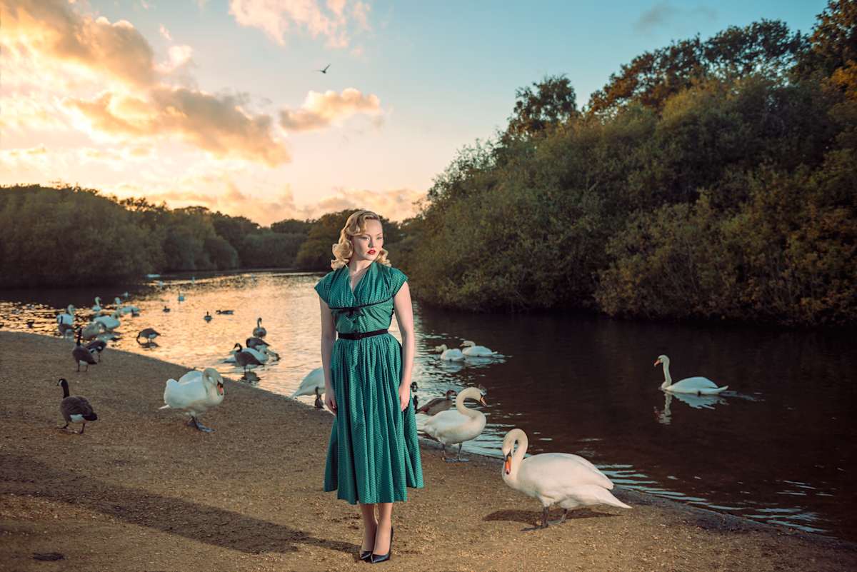 Where Swans Take Flight by Elisa Miller 