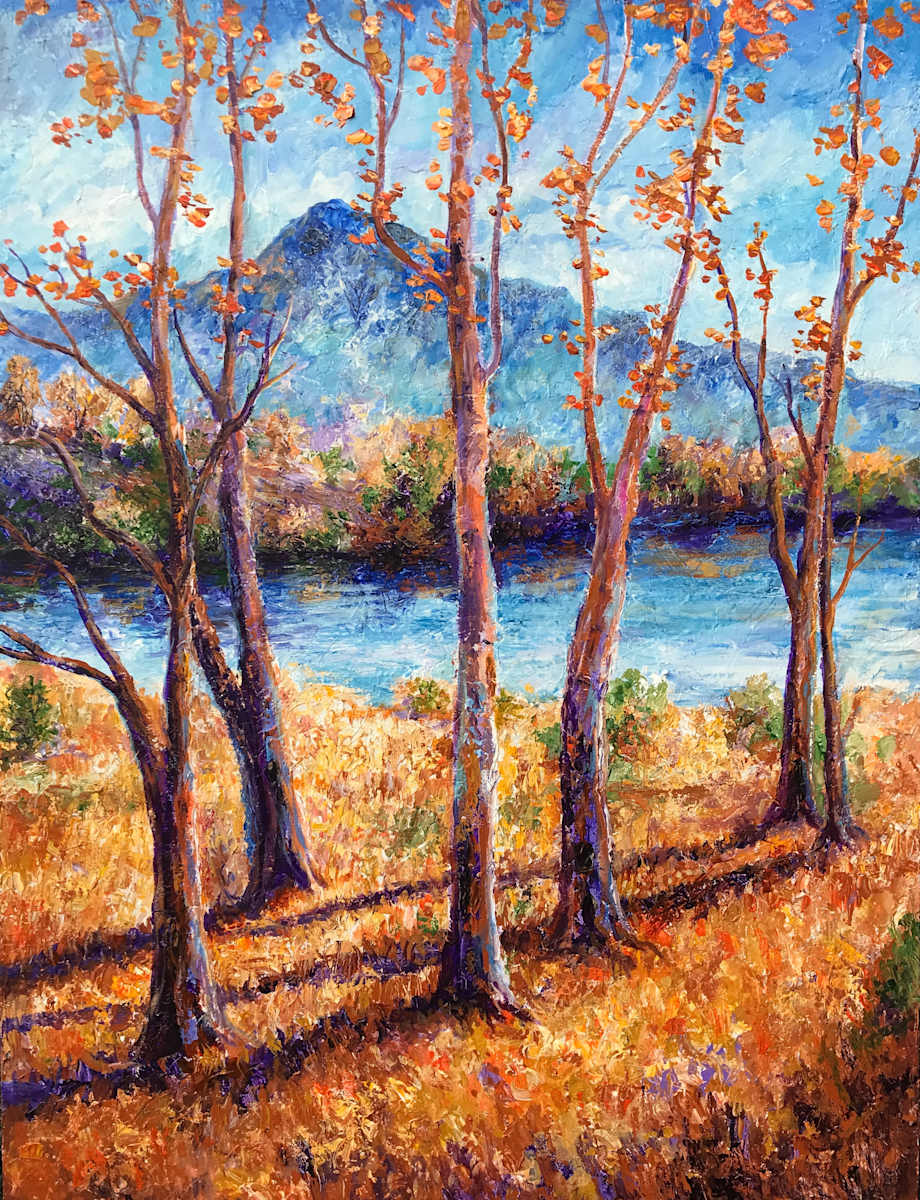 Pinnacle Mountain by Patrick Cunningham 