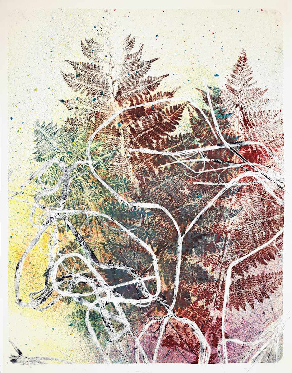 Echo Ferns.01 by Seth A. Crayton 