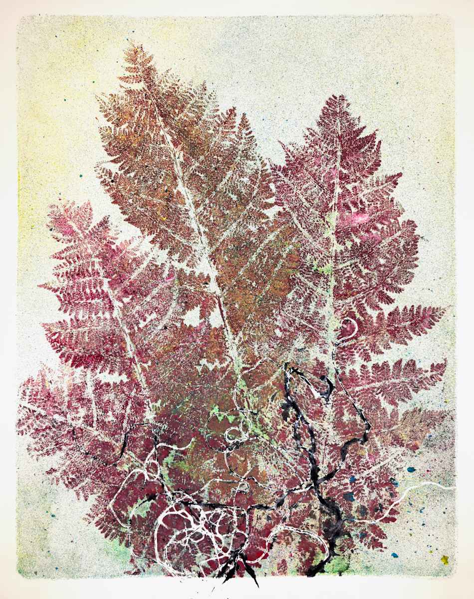 Echo Ferns.02 by Seth A. Crayton 
