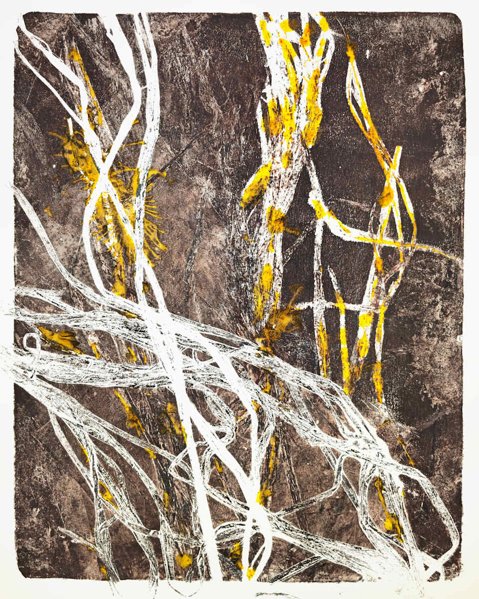 Entangled.02 by Seth A. Crayton 