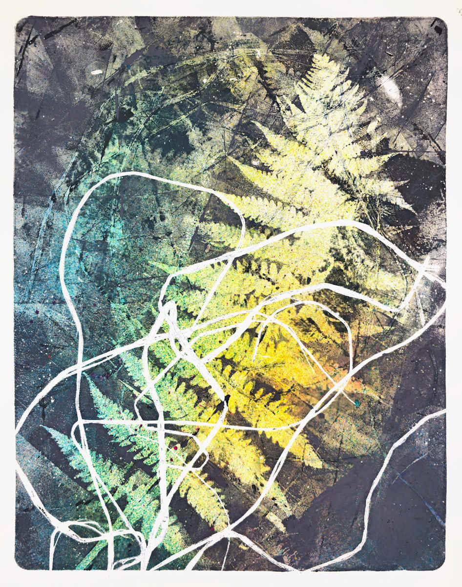 Ethereal Fronds.13 by Seth A. Crayton 