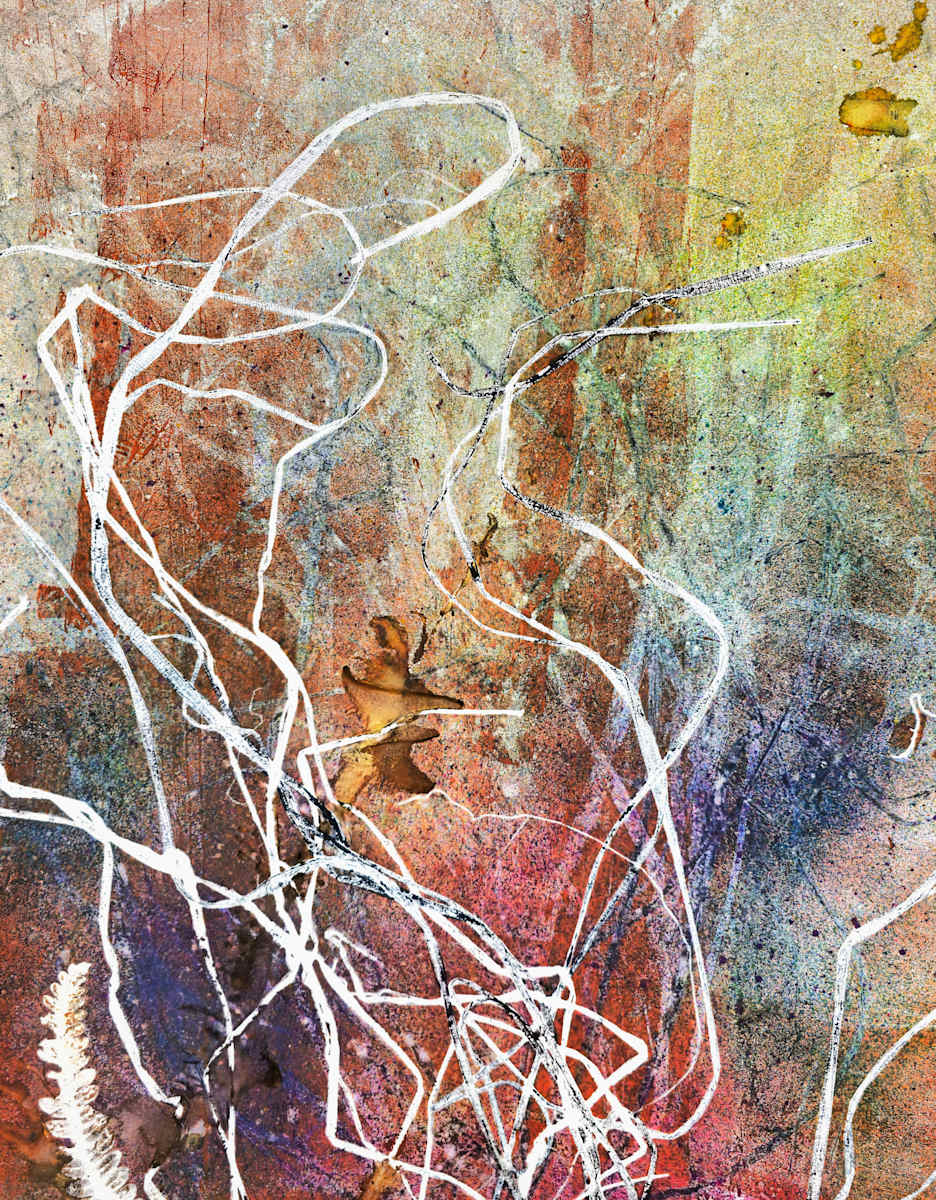 Rustic Spectrum 1 by Seth A. Crayton #wabisethsabi, Image 1.