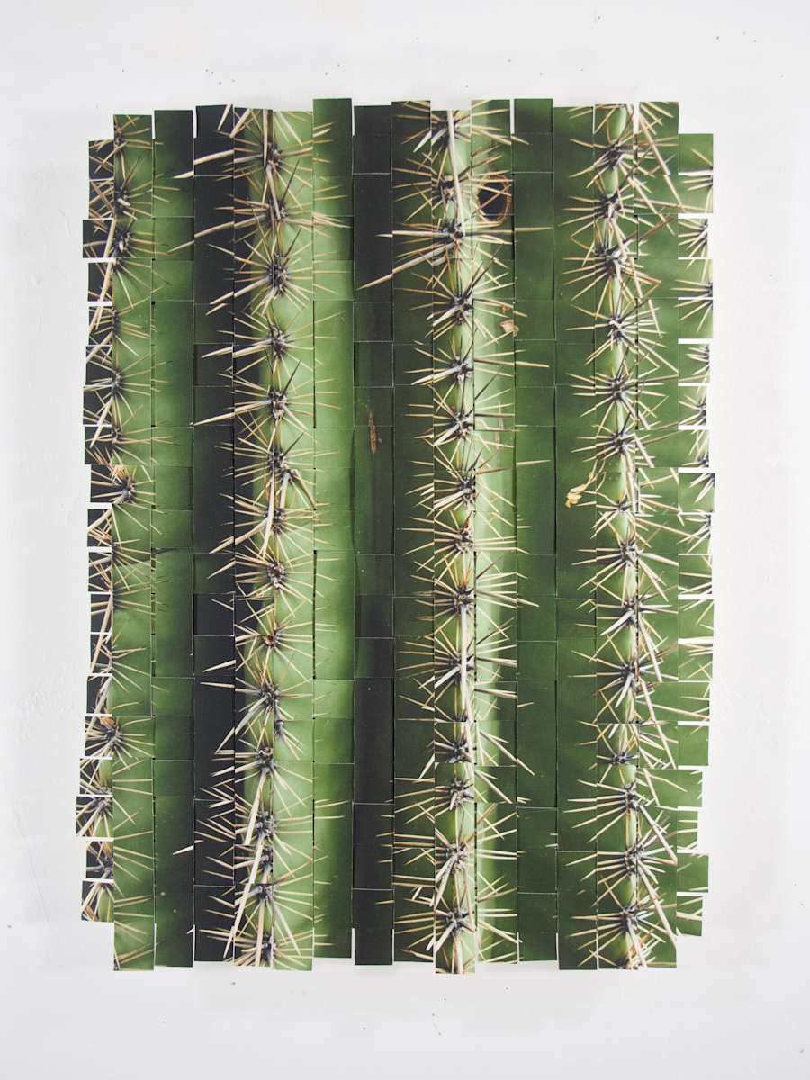 Cactus AZ #1 by Margaret Moench, Image 2.
