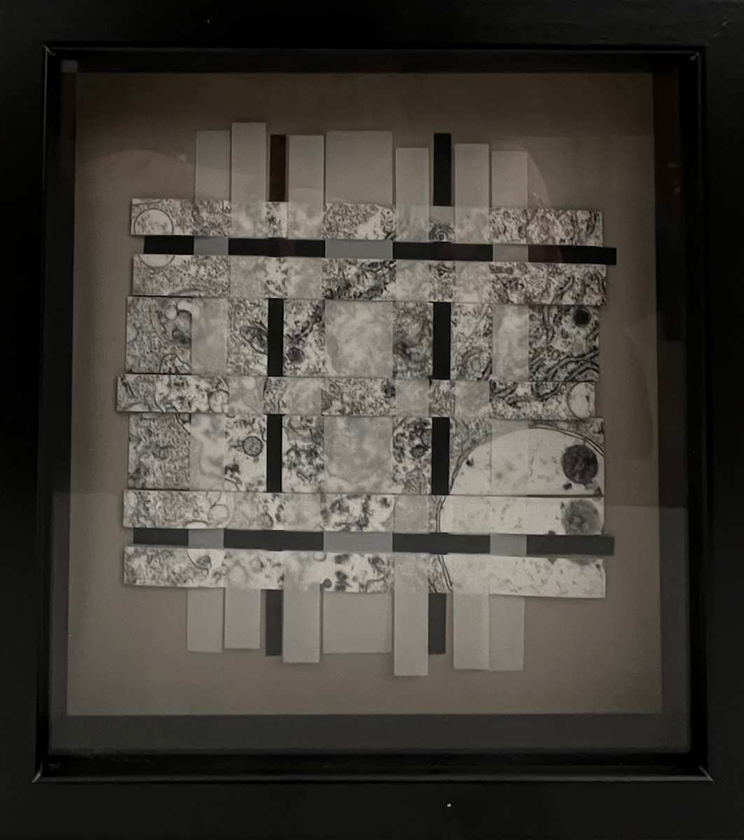 Cell Recombination (grey mat) by Margaret Moench 