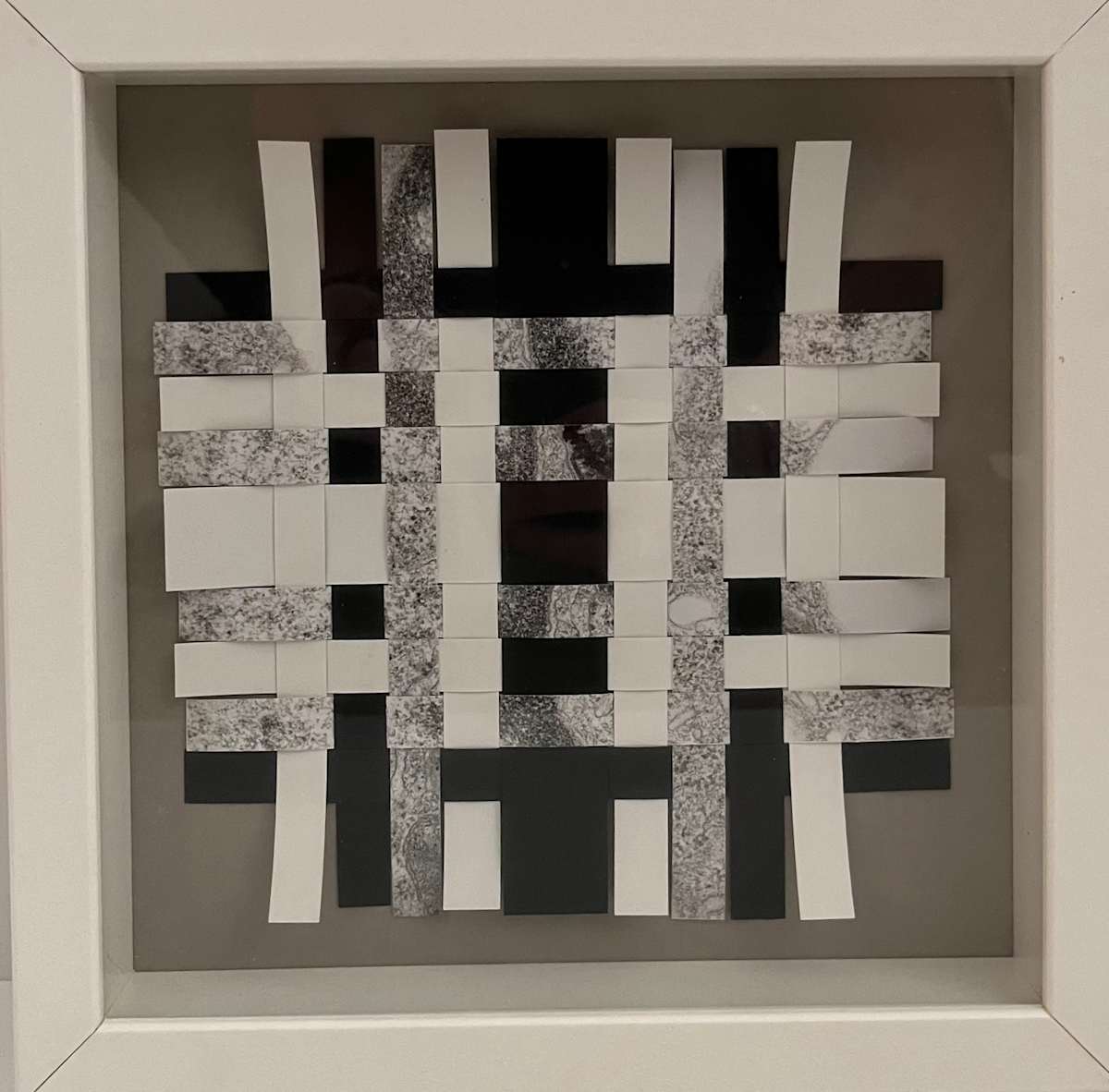 Cell Recombination (grey mat) by Margaret Moench 