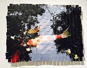 Golden Gate Park Koi #7 by Margaret Moench 