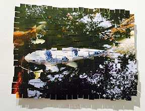 Golden Gate Park Koi #8 by Margaret Moench 