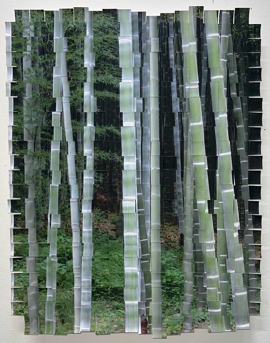 Bamboo Kyoto #1 by Margaret Moench, Image 1.