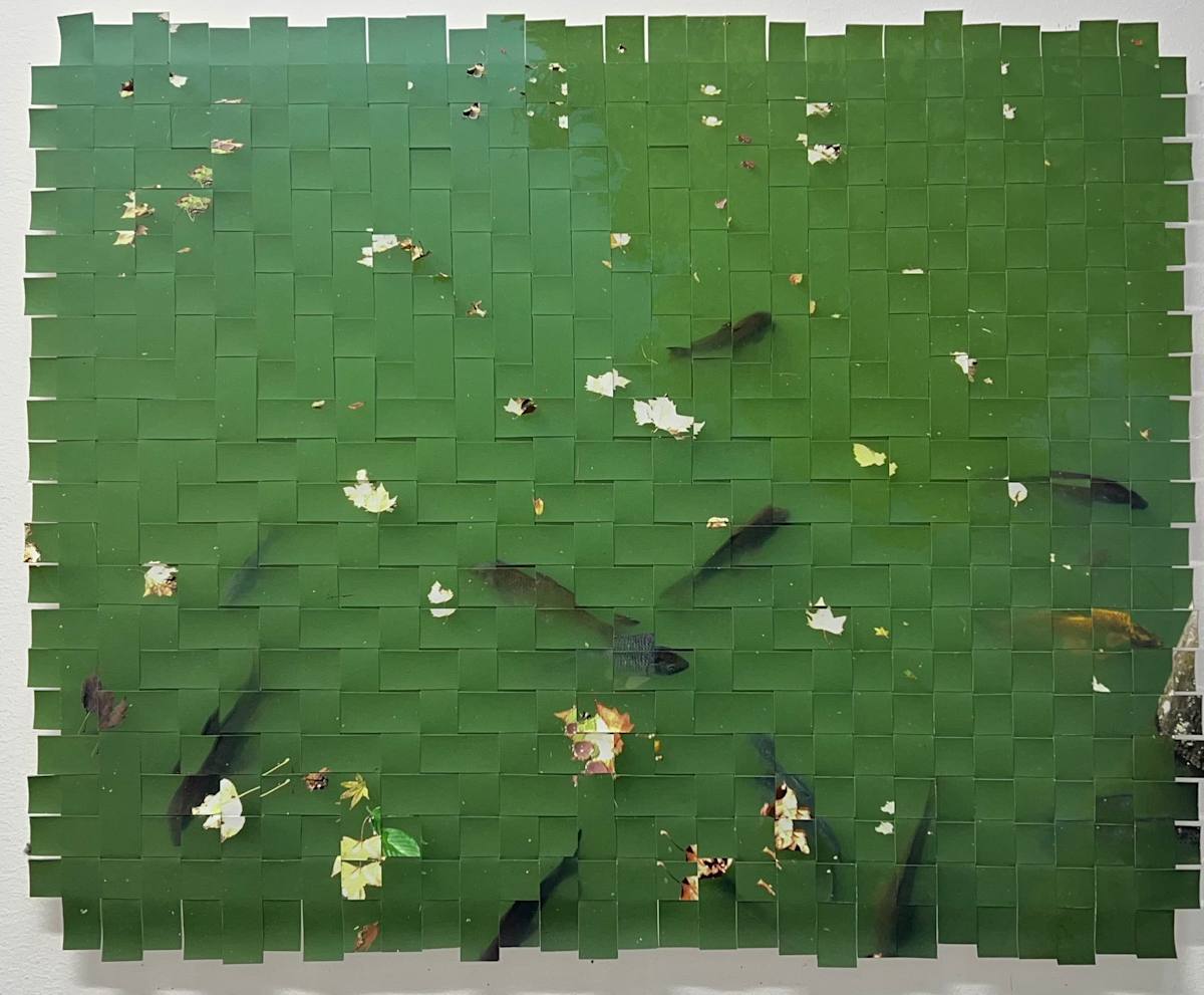 Green Pond #1 by Margaret Moench, Image 1.