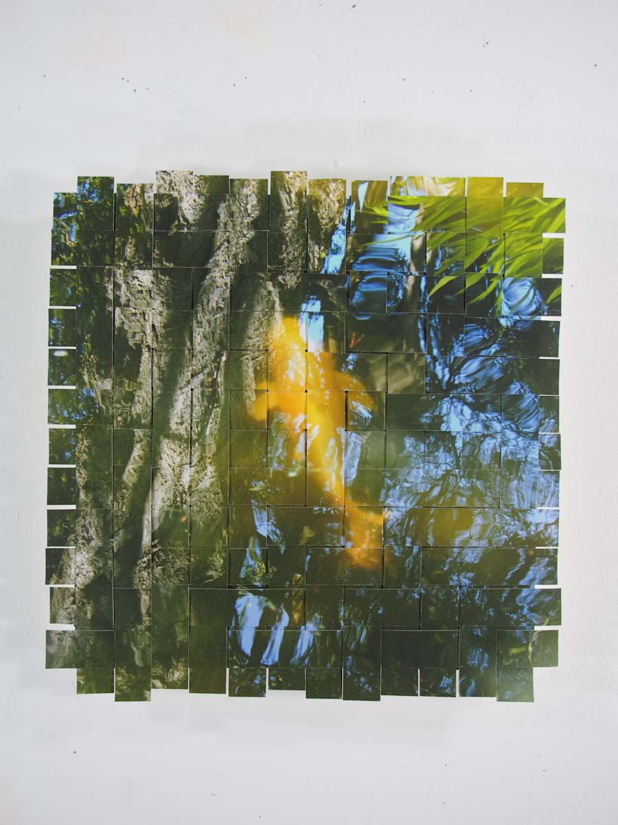 Golden Gate Park Koi #13 by Margaret Moench 