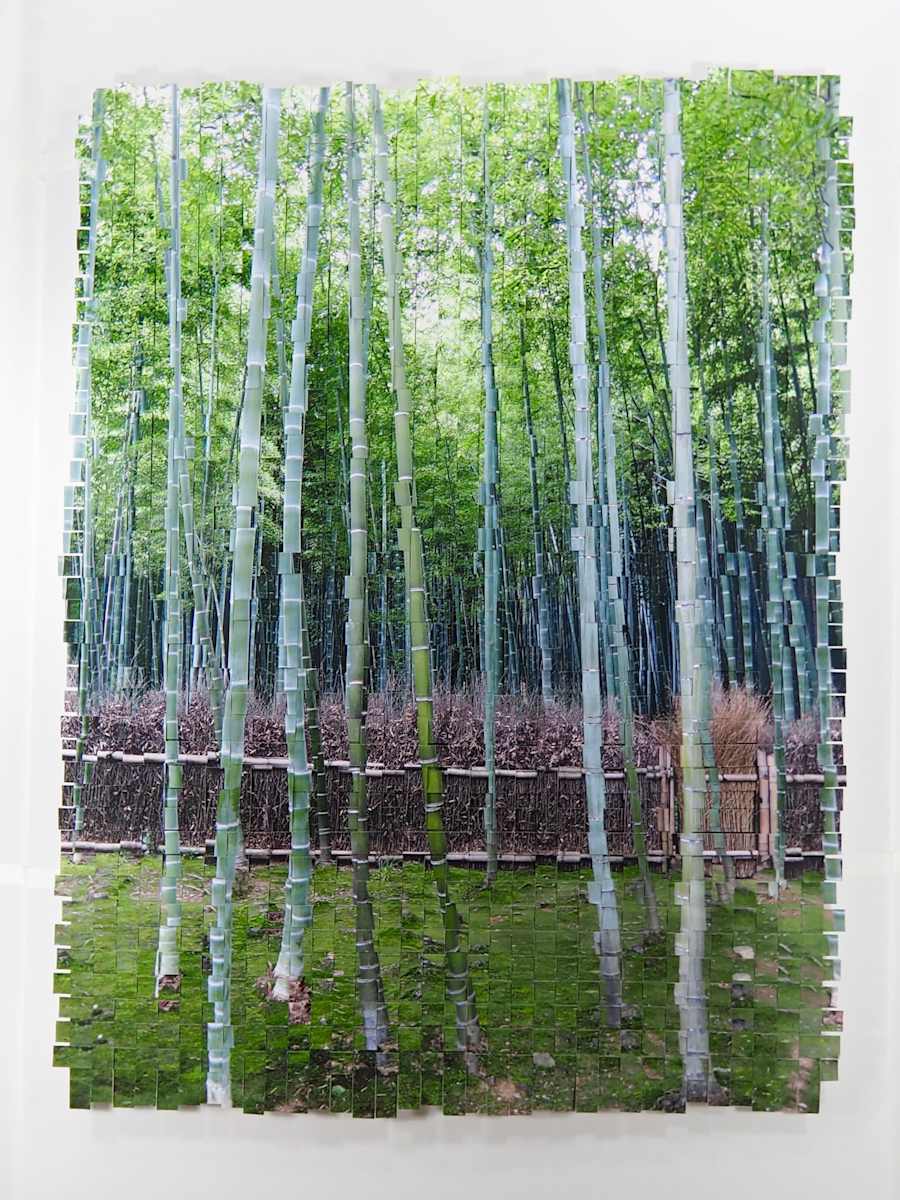 Bamboo Kyoto #3 by Margaret Moench, Image 1.