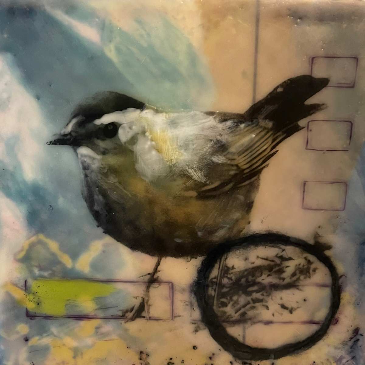 Belize Catbird by Karen Faller 