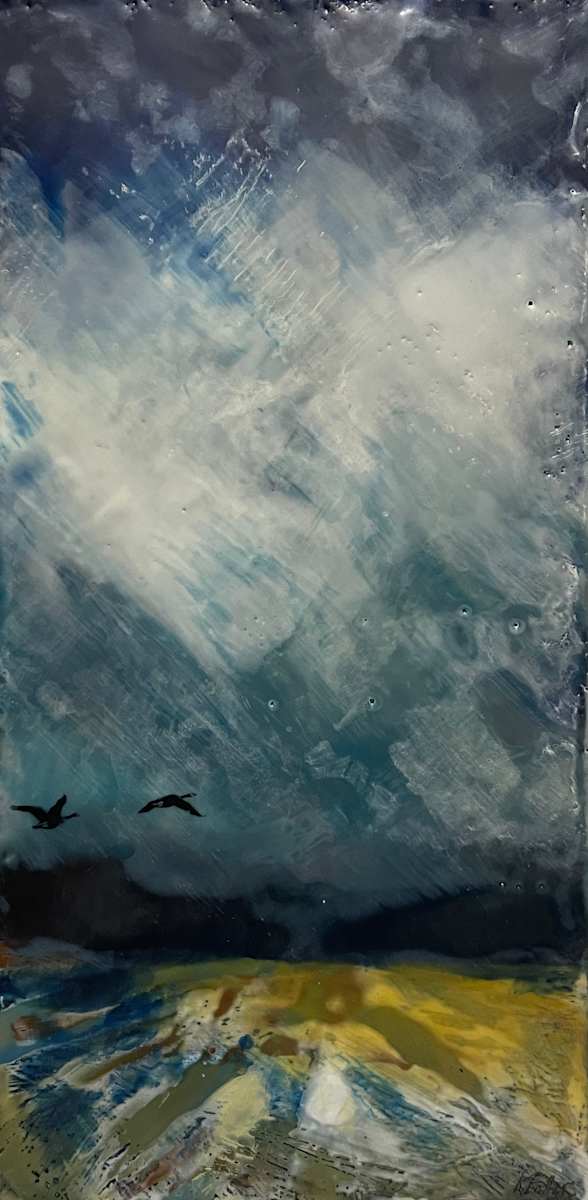 Flying home by Karen Faller 